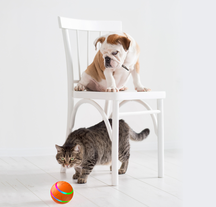 Novaiz™ - Selbstbewegender Katzen & Hunde Spielball